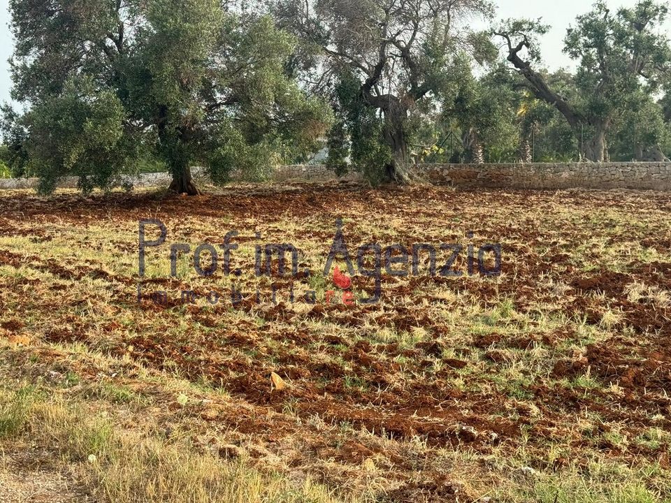 Helårsgrund i Carovigno, Brindisi - foto 4